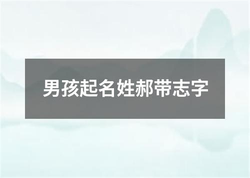 男孩起名姓郝带志字