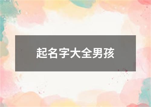 起名字大全男孩