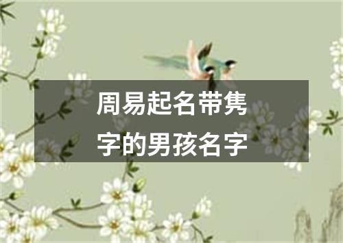 周易起名带隽字的男孩名字