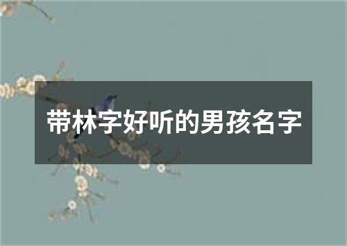 带林字好听的男孩名字
