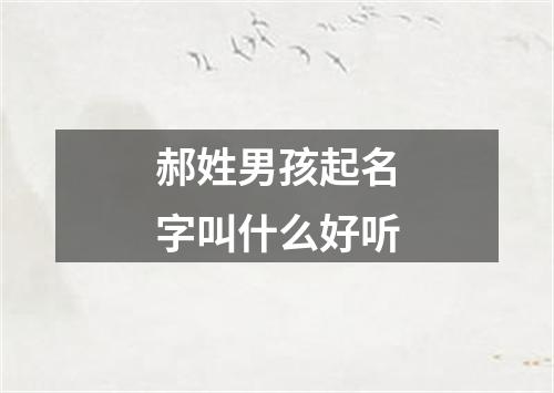 郝姓男孩起名字叫什么好听