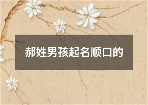 郝姓男孩起名顺口的