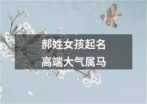 郝姓女孩起名高端大气属马