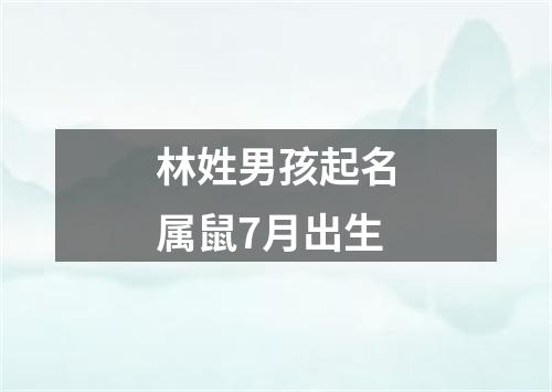 林姓男孩起名属鼠7月出生