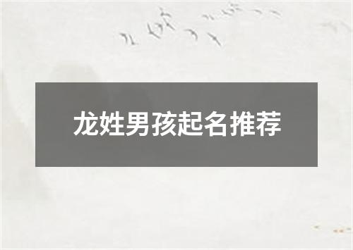 龙姓男孩起名推荐