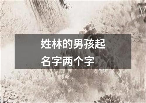 姓林的男孩起名字两个字
