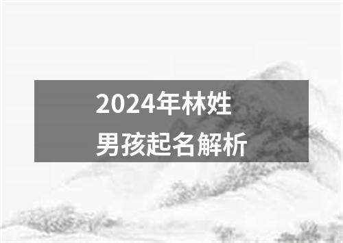2024年林姓男孩起名解析