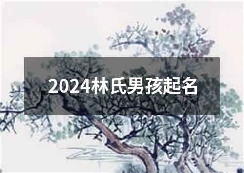 2024林氏男孩起名