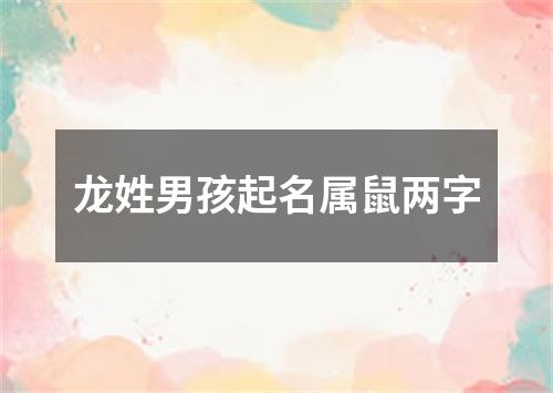 龙姓男孩起名属鼠两字