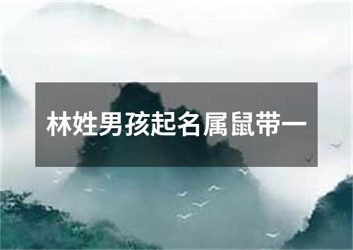 林姓男孩起名属鼠带一