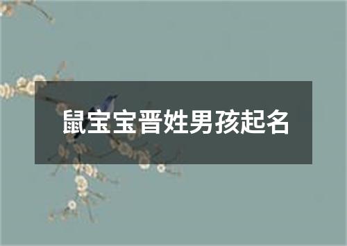 鼠宝宝晋姓男孩起名