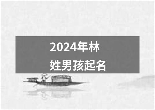 2024年林姓男孩起名