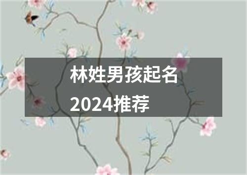 林姓男孩起名2024推荐