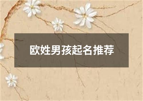 欧姓男孩起名推荐