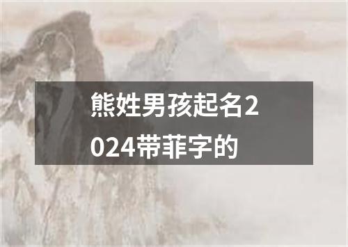 熊姓男孩起名2024带菲字的