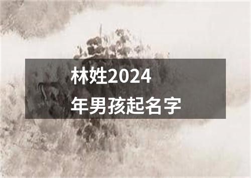 林姓2024年男孩起名字