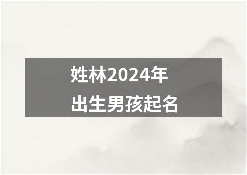 姓林2024年出生男孩起名