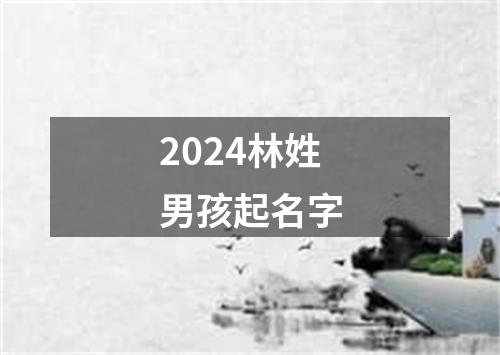 2024林姓男孩起名字
