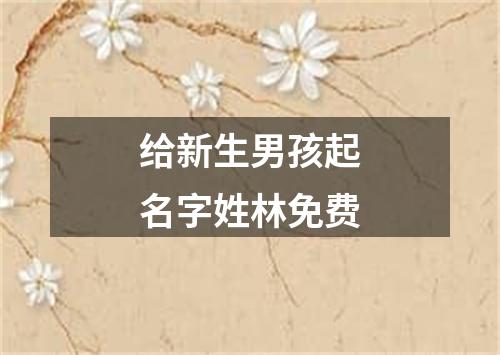 给新生男孩起名字姓林免费