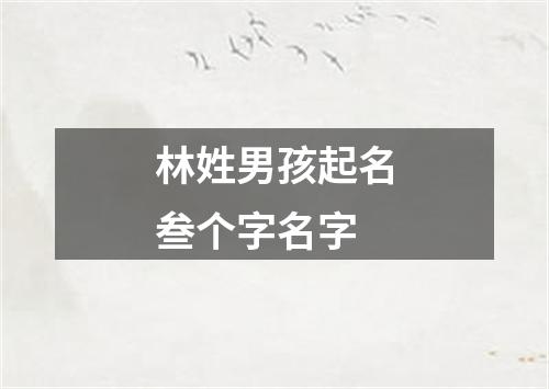 林姓男孩起名叁个字名字