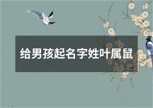 给男孩起名字姓叶属鼠