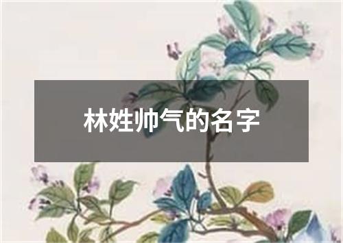 林姓帅气的名字