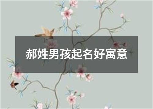 郝姓男孩起名好寓意