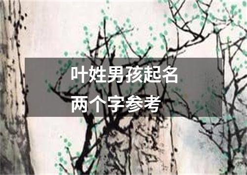 叶姓男孩起名两个字参考