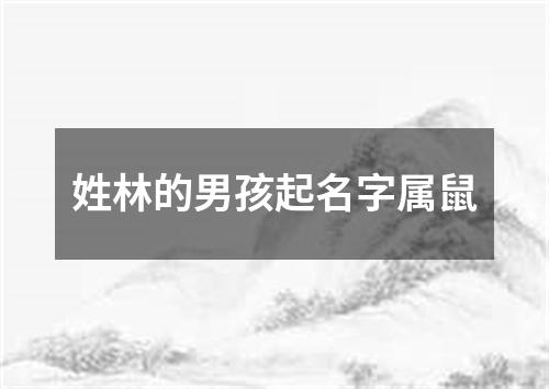 姓林的男孩起名字属鼠