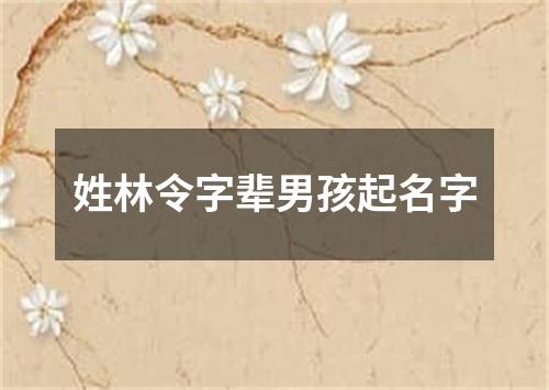 姓林令字辈男孩起名字
