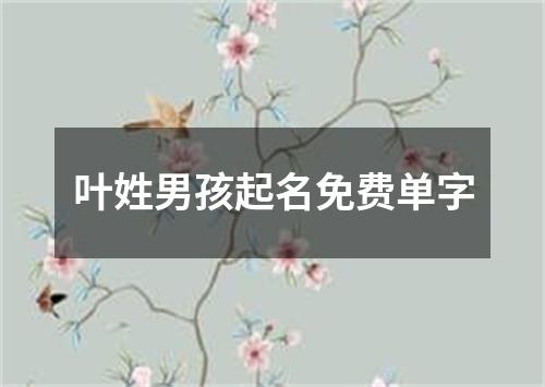 叶姓男孩起名免费单字