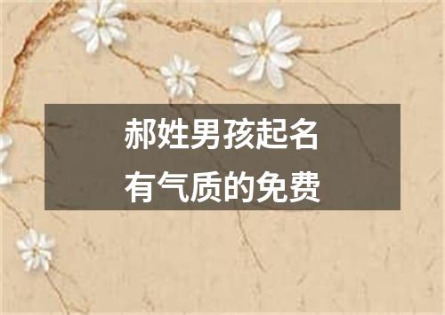 郝姓男孩起名有气质的免费