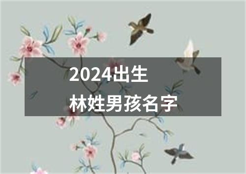2024出生林姓男孩名字