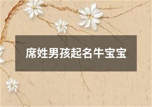 席姓男孩起名牛宝宝