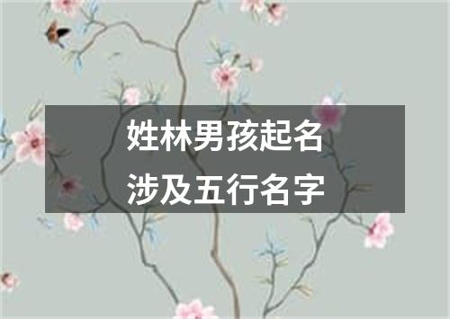 姓林男孩起名涉及五行名字