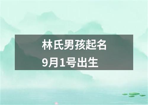 林氏男孩起名9月1号出生