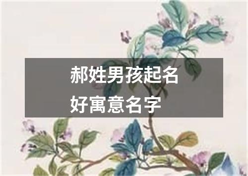 郝姓男孩起名好寓意名字