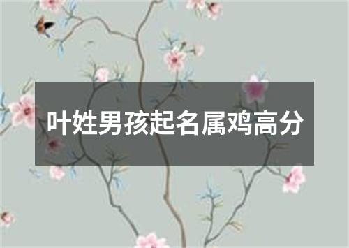 叶姓男孩起名属鸡高分