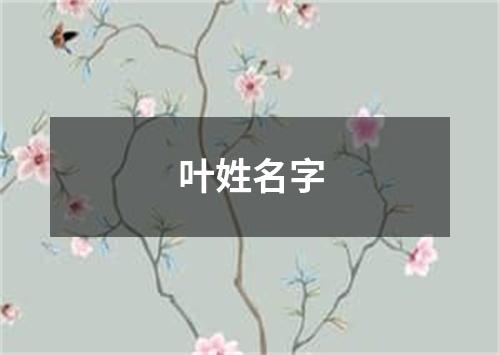 叶姓名字