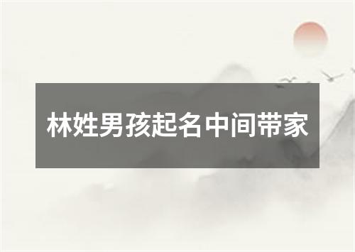 林姓男孩起名中间带家