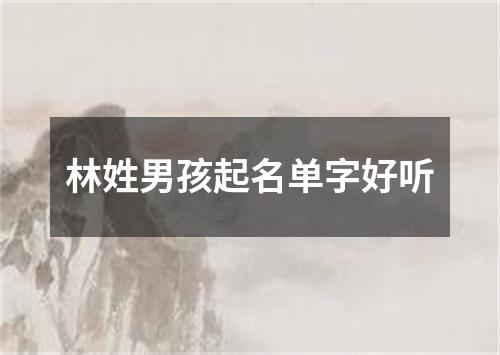 林姓男孩起名单字好听