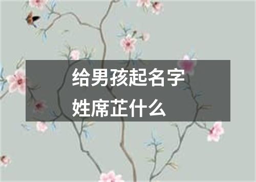 给男孩起名字姓席芷什么