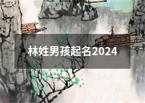 林姓男孩起名2024