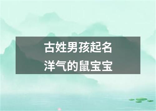 古姓男孩起名洋气的鼠宝宝