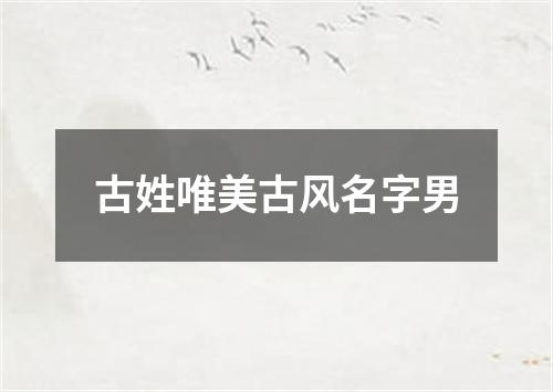 古姓唯美古风名字男