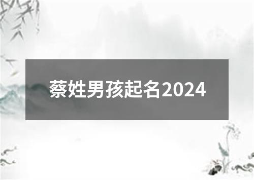 蔡姓男孩起名2024