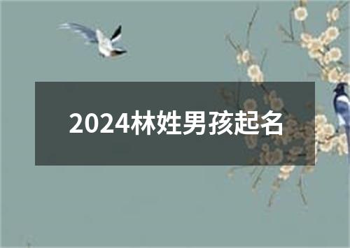 2024林姓男孩起名