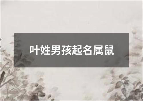 叶姓男孩起名属鼠