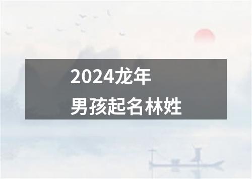 2024龙年男孩起名林姓