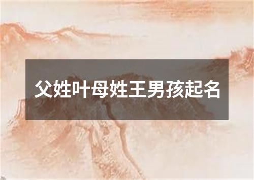 父姓叶母姓王男孩起名